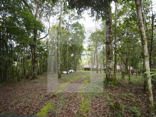 #61 - Sítio para Venda em Juquitiba - SP - 2