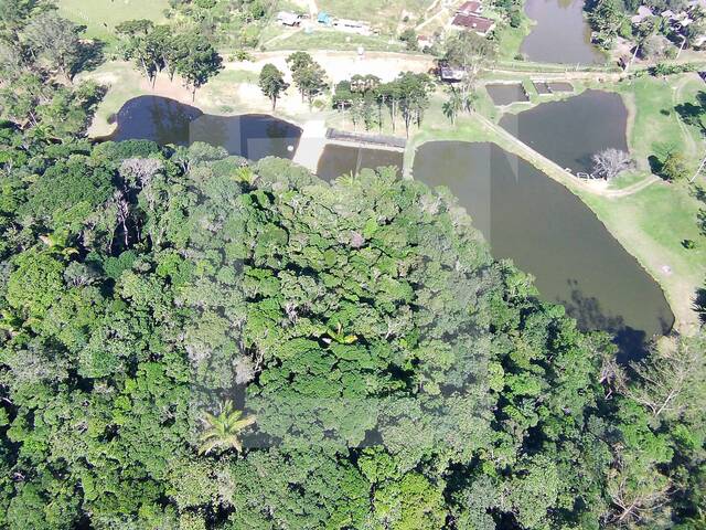 #144 - Sítio para Venda em Juquitiba - SP - 3