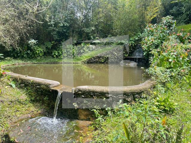 Sítio para Venda em São Lourenço da Serra - 4