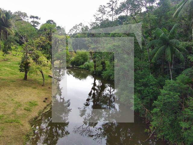 #234 - Sítio para Venda em Juquitiba - SP - 2