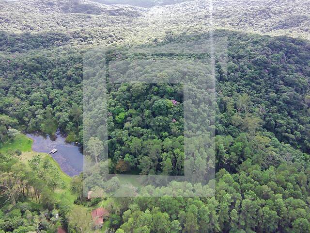 #232 - Sítio para Venda em São Lourenço da Serra - SP - 2