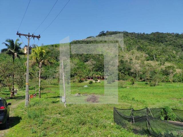 Sítio para Venda em Sete Barras - 4