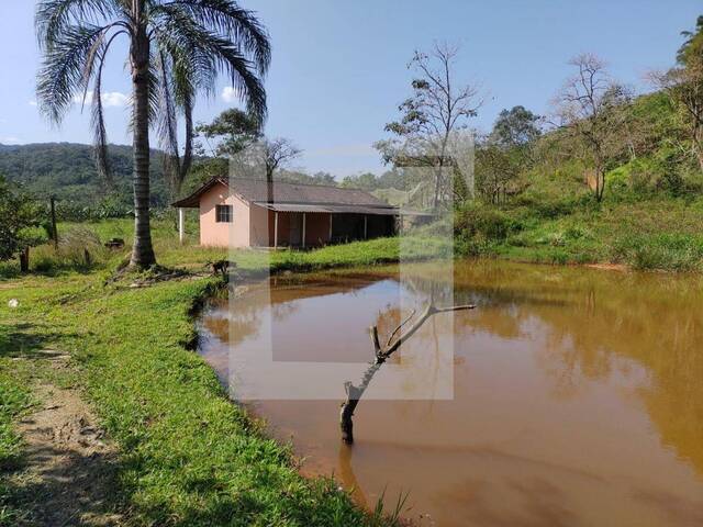 Venda em Centro - Sete Barras