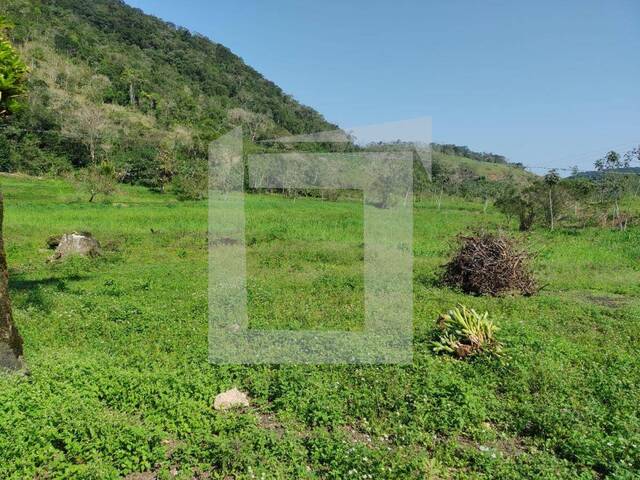 #MA01 - Sítio para Venda em Sete Barras - SP - 3