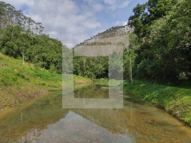 Sítio para Venda em Miracatu - 2
