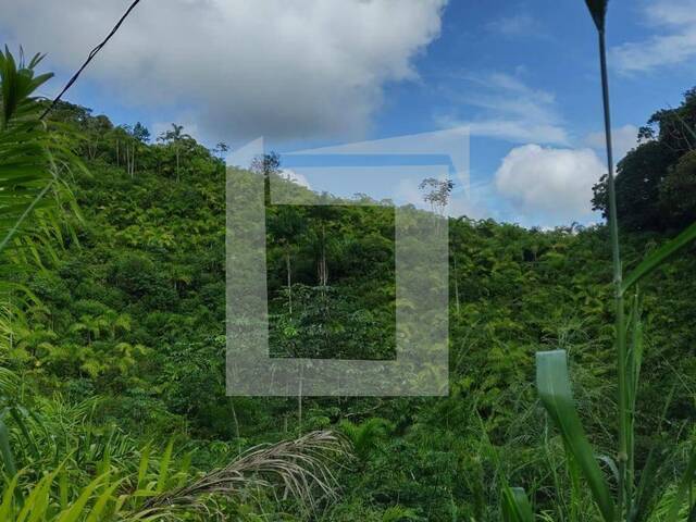 Sítio para Venda em Iguape - 2