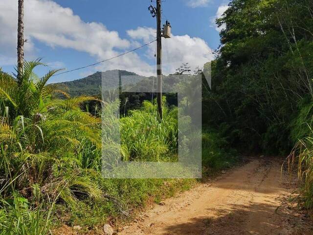 Sítio para Venda em Iguape - 4