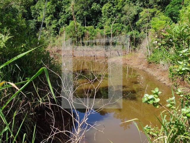 Sítio para Venda em Iguape - 3