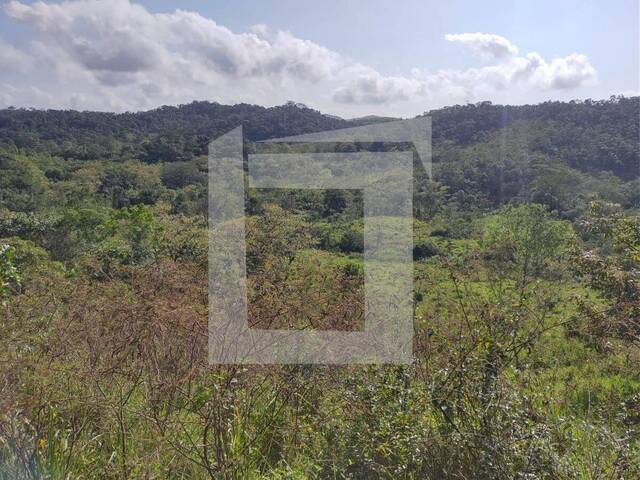 #MA05 - Fazenda para Venda em Miracatu - SP - 3