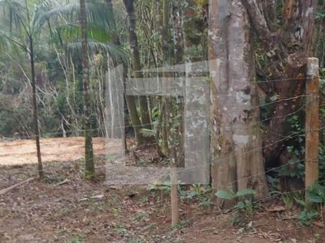 #235 - Terreno para Venda em Juquitiba - SP - 3