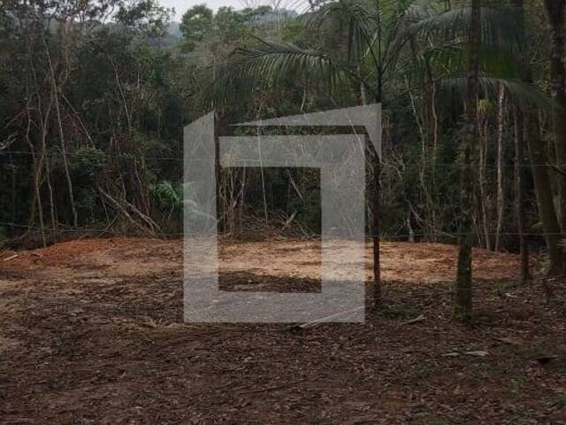 #235 - Terreno para Venda em Juquitiba - SP - 1