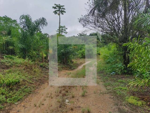 Sítio para Venda em Iguape - 3
