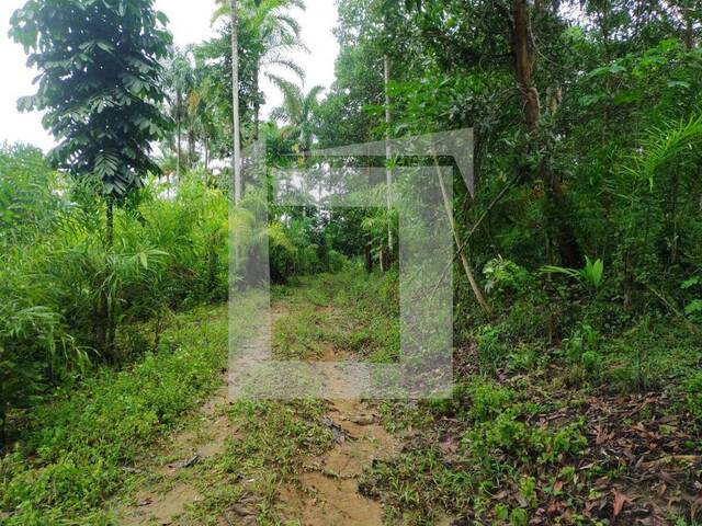 Sítio para Venda em Iguape - 5
