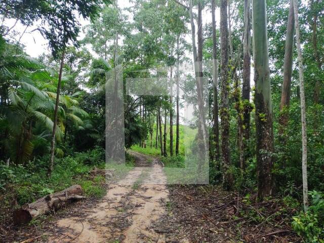 Venda em Centro - Iguape