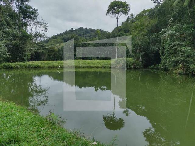 Sítio para Venda em Iguape - 4