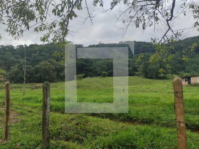Sítio para Venda em Iguape - 3