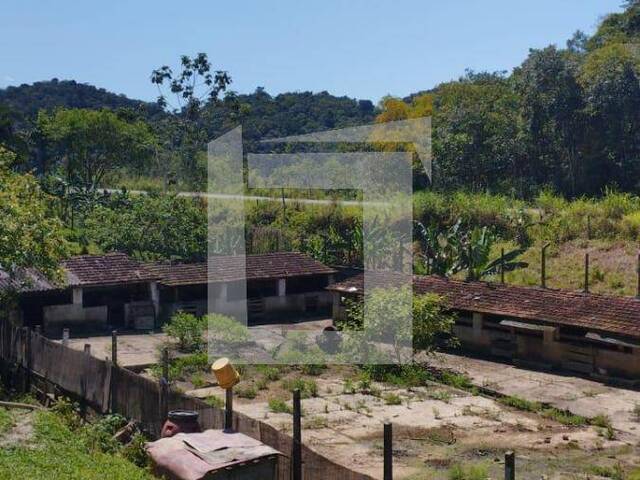 Sítio para Venda em Juquiá - 3