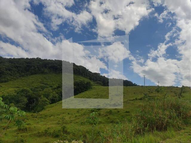 Sítio para Venda em Juquiá - 4