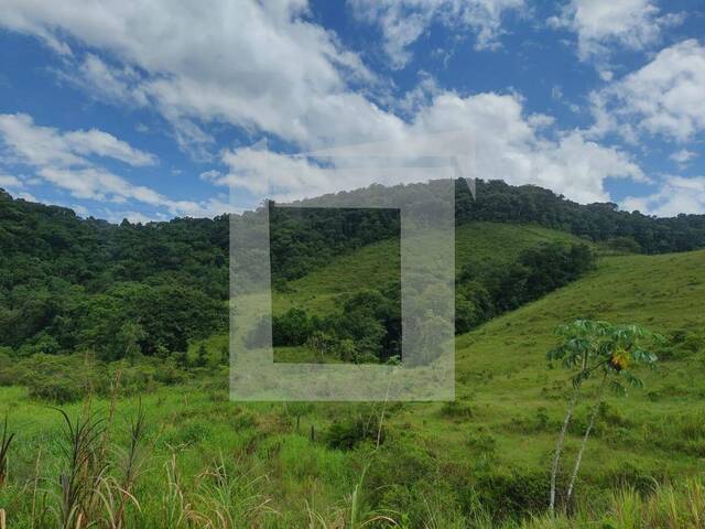 Sítio para Venda em Juquiá - 5