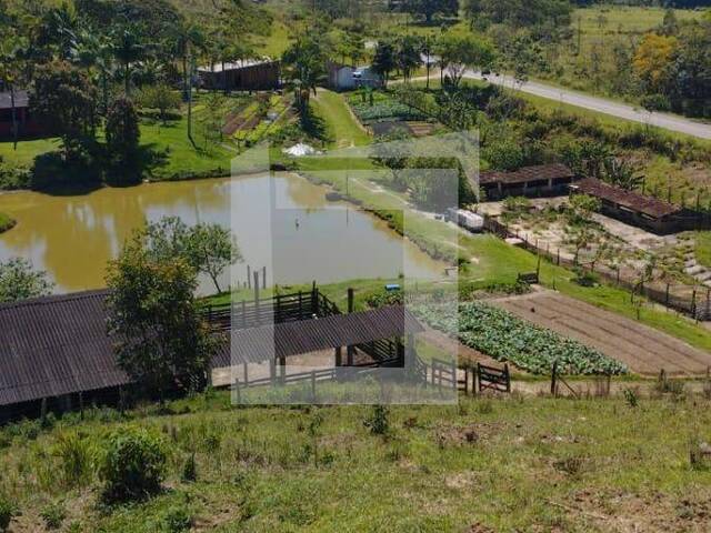 Sítio para Venda em Juquiá - 2