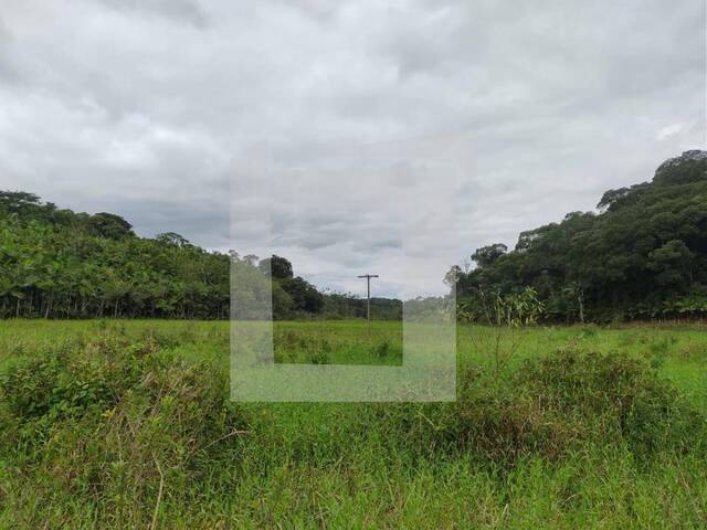 Fazenda para Venda em Juquiá - 4