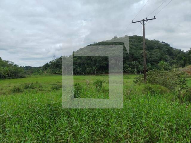 Fazenda para Venda em Juquiá - 5