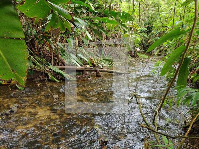 Venda em centro - Juquiá