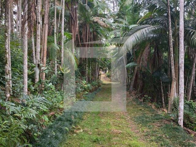 Sítio para Venda em Juquiá - 5