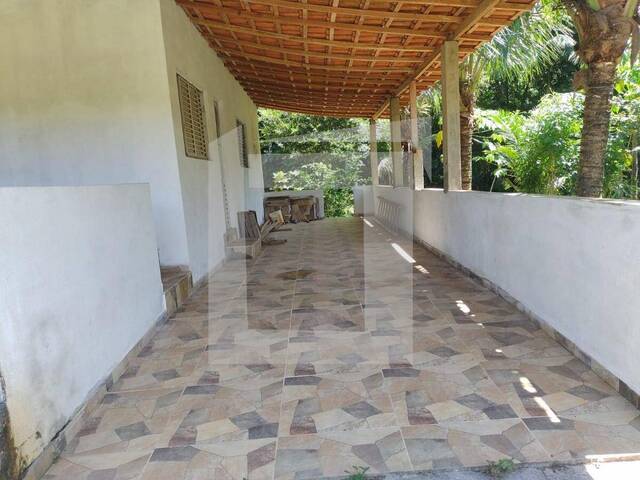 Sítio para Venda em Iguape - 4