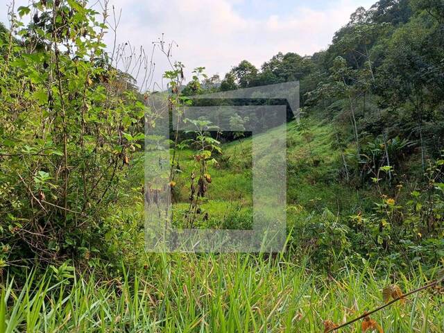 Sítio para Venda em Juquiá - 5