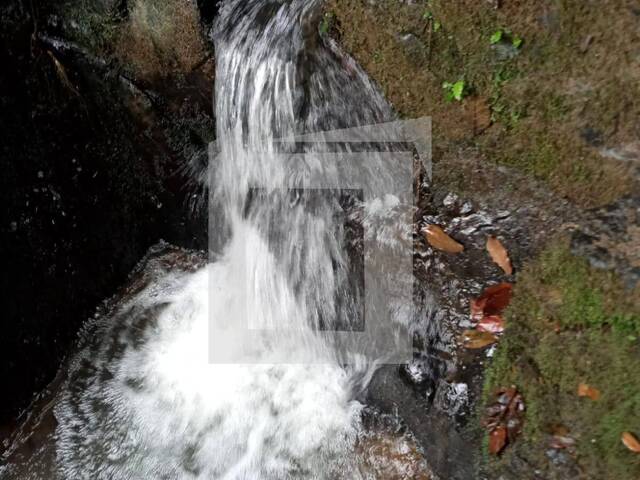 Sítio para Venda em Juquiá - 4