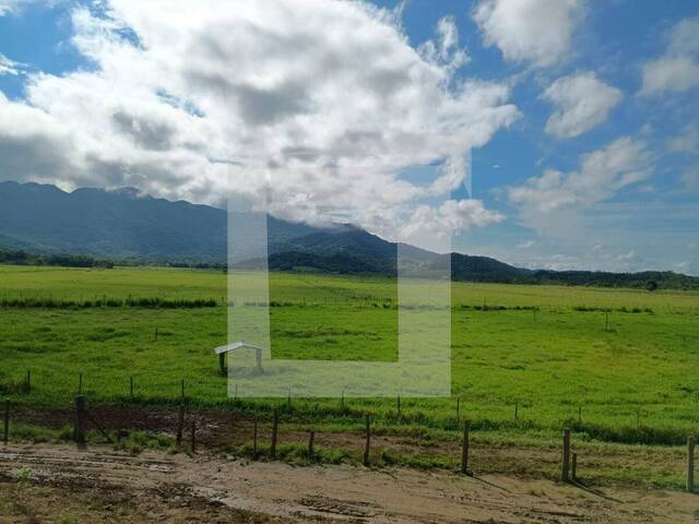 Fazenda para Venda em Iguape - 4