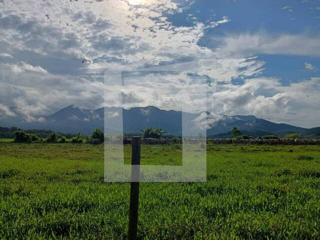 Fazenda para Venda em Iguape - 2