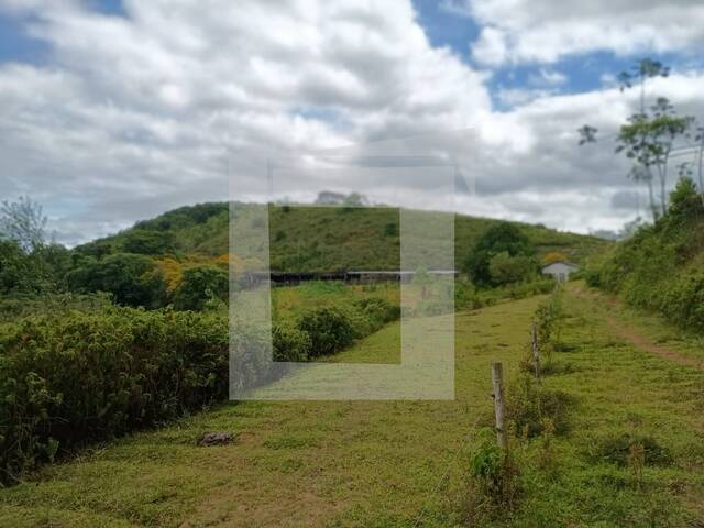 #MA37 - Fazenda para Venda em Sete Barras - SP - 2