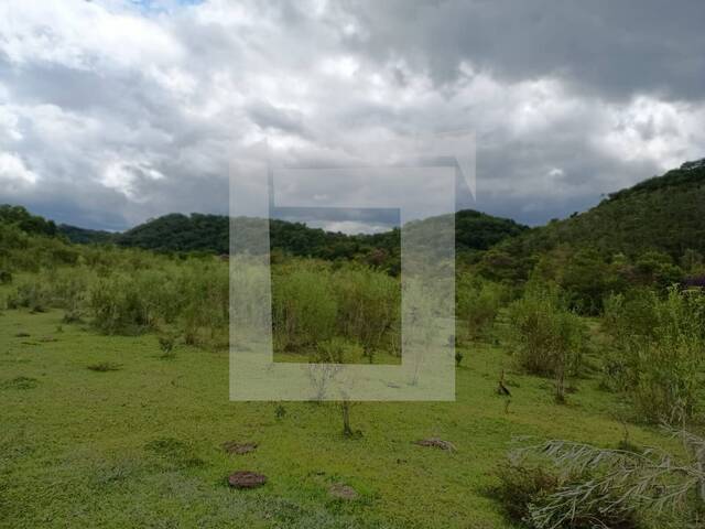 Fazenda para Venda em Sete Barras - 4