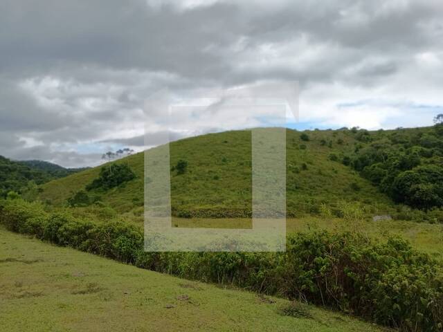 #MA37 - Fazenda para Venda em Sete Barras - SP - 3