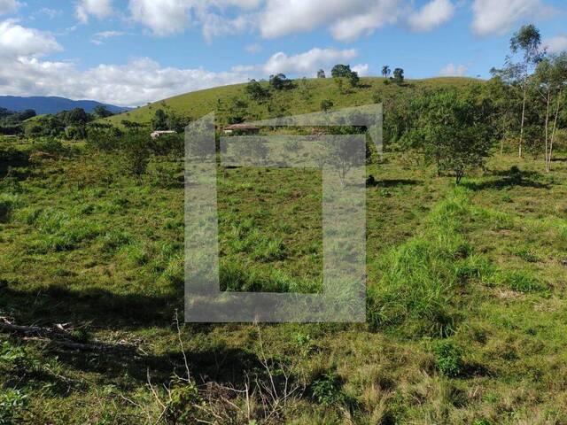 Sítio para Venda em Juquiá - 4