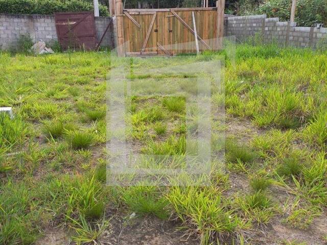 #247 - Terreno para Venda em Juquitiba - SP - 2
