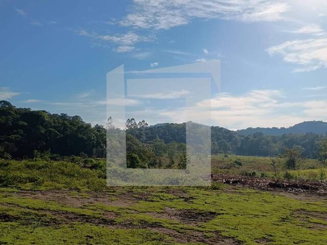 Sítio para Venda em Juquiá - 4