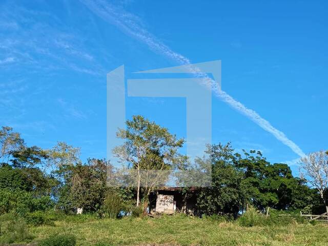 Sítio para Venda em Juquiá - 5