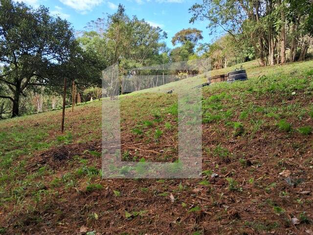 Sítio para Venda em Juquitiba - 4