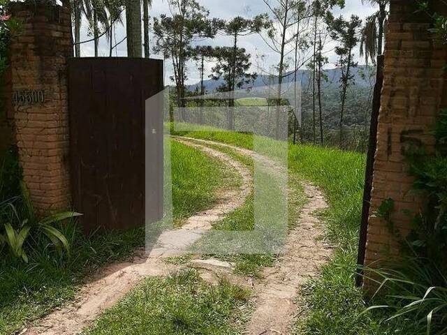 #259 - Sítio para Venda em Itapecerica da Serra - SP - 3