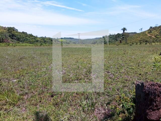 Fazenda para Venda em Iguape - 4