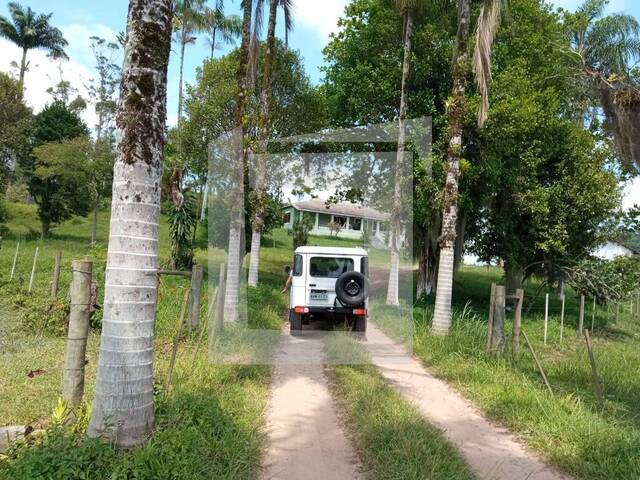#260 - Fazenda para Venda em Iguape - SP - 3