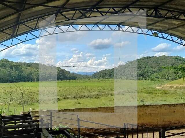 #262 - Fazenda para Venda em Registro - SP - 3