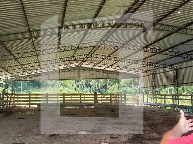 #262 - Fazenda para Venda em Registro - SP - 2