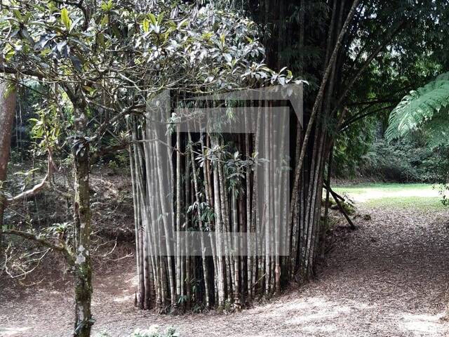 Sítio para Venda em Juquitiba - 5