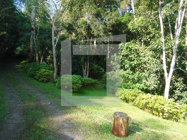 #263 - Sítio para Venda em Juquitiba - SP - 3