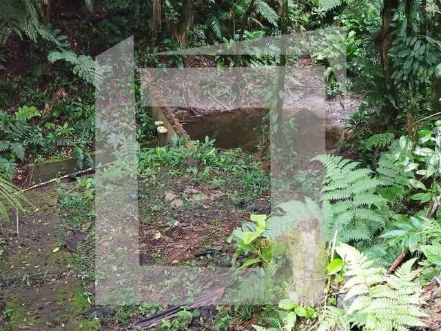 Sítio para Venda em Juquitiba - 4