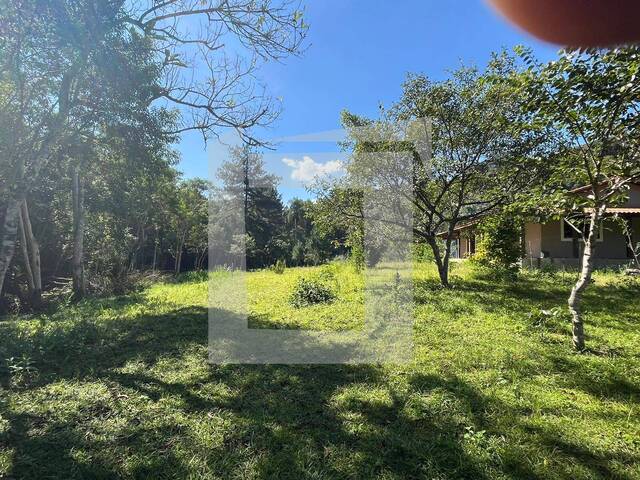 #268 - Sítio para Venda em São Lourenço da Serra - SP - 3